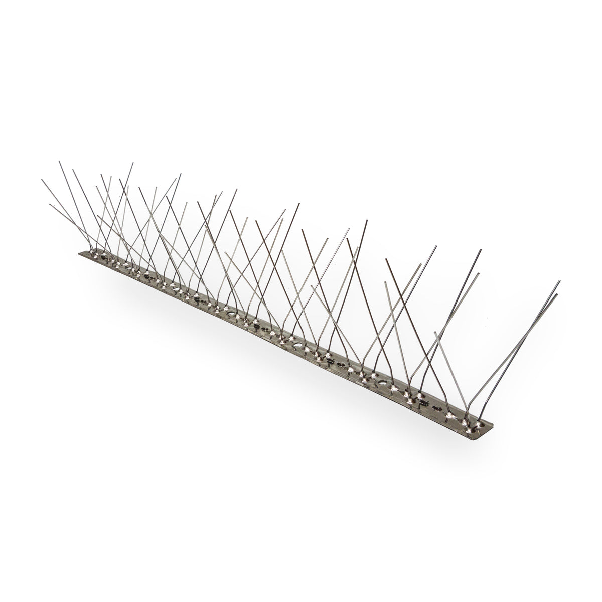 Stainless Steel Bird Spikes - 150mm Wide — Maintrac Group